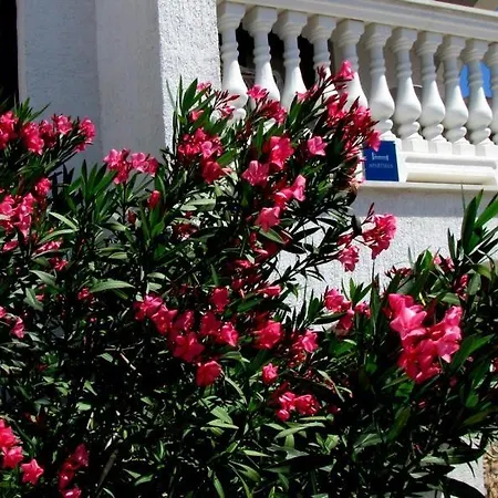 Katarina K 3* Malinska